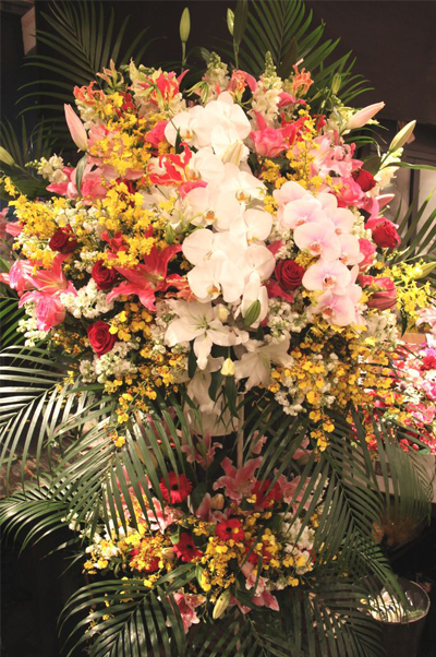 �X�^���h�� ���c�J��